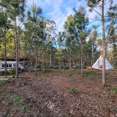 Yuccasa - Small Glamping Camping & Studio'S Помбал Экстерьер фото