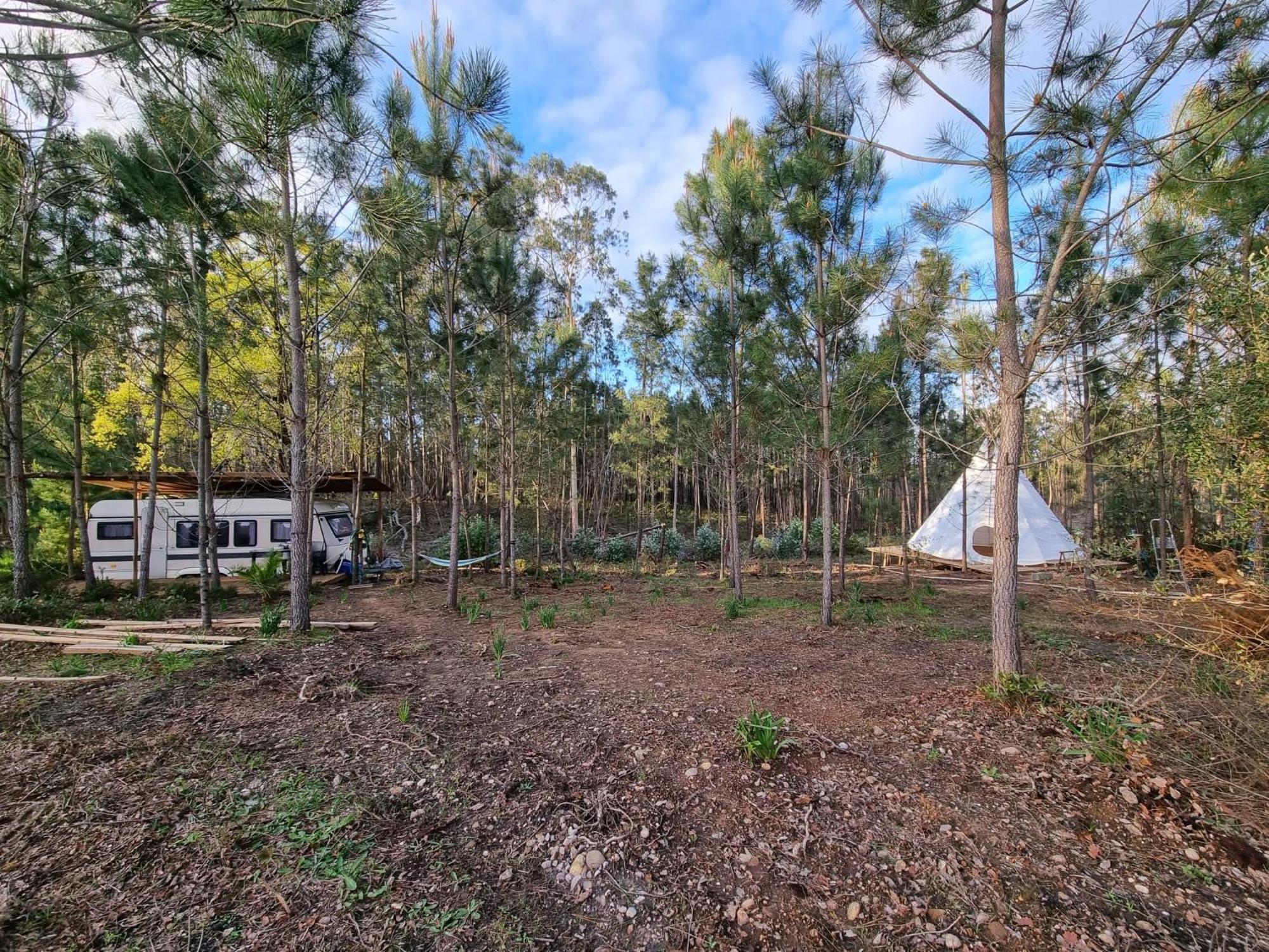 Yuccasa - Small Glamping Camping & Studio'S Помбал Экстерьер фото